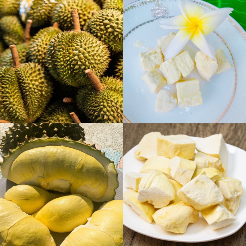 ภาพหน้าปกสินค้าทุเรียน หมอนทอง อบกรอบ ทุเรียนอบกรอ 1ชอง 35 g 真正的蒙特洪榴蓮  Durian Freeze Dried กรอบอร่อย จากร้าน mango029 บน Shopee