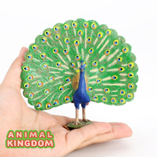 Animal Kingdom - โมเดลสัตว์ นกยูง ขนาด 12.00 CM (จากสงขลา)