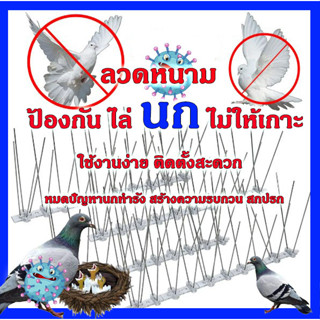 🚫 หนามไล่นก ไล่นกพิราบ ที่ดักนก กันนกพิราบ Bird Spikes กันนกเกาะ อุปกรณ์ไล่นกทำรัง ทนทาน กำจัดนกได้ผลจริง 100%