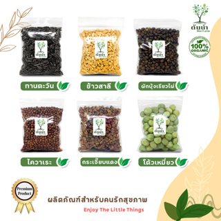 เมล็ดต้นอ่อน เมล็ดผักไมโครกรีน (แบบซองราคาส่ง) #microgreen #ทานตะวัน #โตเหมี่ยว #ไควาเระ #ผักบุ้ง #ไมโครกรีน