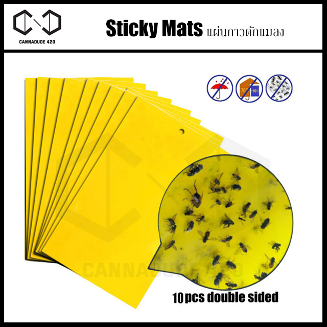 sticky-mat-10x20-cm-20x15-cm-ติดหัวยาก-แผ่นกาวดัก-ฝุ่น-แผ่นกาวดักฝุ่น-ทนแดด-กันฝุ่น-ไม่มีสารเคมี-แผ่นดัก