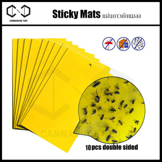 Sticky mat (10x20 cm/20x15 cm) ติดหัวยาก แผ่นกาวดัก ฝุ่น แผ่นกาวดักฝุ่น ทนแดด กันฝุ่น ไม่มีสารเคมี แผ่นดัก