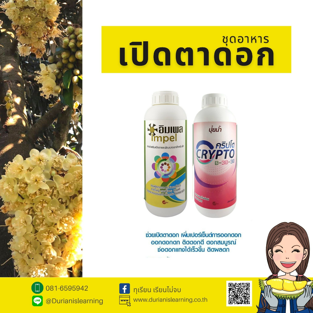 ชุดอาหารเปิดตาดอก-เพิ่มเปอร์เซ็นต์การออกดอก-ดอกดก-ติดดอกดี-ดอกสมบูรณ์