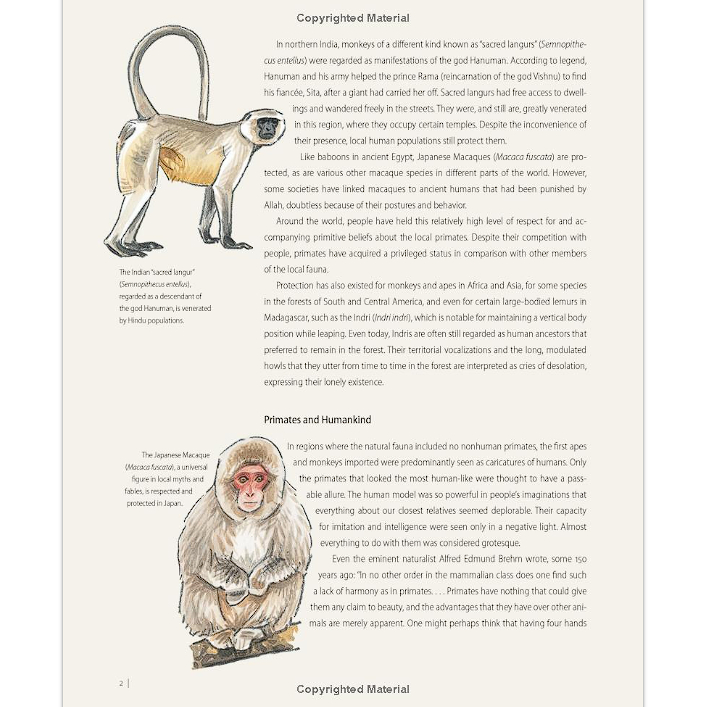 primates-of-the-world-an-illustrated-guide-hardback-english