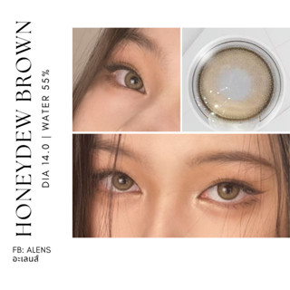 Honeydew brown | คอนแทคเลนส์รายเดือน ค่าอมน้ำ 55%