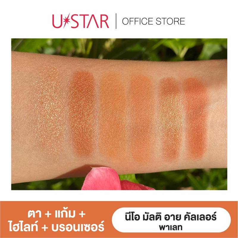 ustar-neo-multi-eye-color-palette-chic-brown-ยูสตาร์-นีโอ-มัลติ-อาย-คัลเลอร์-พาเลท