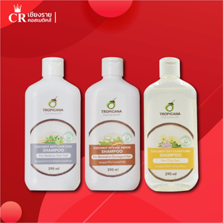 Tropicana Shampoo แชมพูมะพร้าว สูตร ลดผมขาดร่วง/สูตร ขจัดความมัน/สูตร บำรุงผมแห้งเสีย 290 มล.