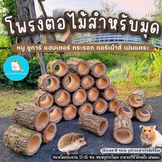 โพรงไม้ โพรงมุด สำหรับหนู,สัตว์เลื้อยคลาน ขนาดใหญ่ เหมาะสำหรับแต่งกรงแนวธรรมชาติ