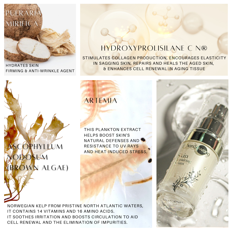 chansawang-สกิน-รีแฟร์ริ่ง-ซีรั่ม-skin-repairing-serum-จันทร์สว่าง-20-กรัม-จำนวน-1-กล่อง