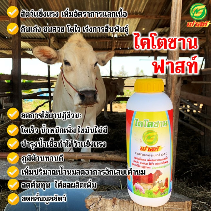 ไคโตซานเร่งโต-ผสมติดง่าย-ขุนบำรุง-เป็นสัดตามรอบ