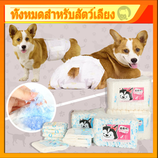 สินค้า 🤝ราคามิตรภาพ🐶 ผ้าอ้อมสำหรับสัตว์เลี้ยง มีหลายไซส์ กางเกงอนามัยสุนัข กางเกงผ้าอ้อมสุนัขตัวเมีย กางเกงอนามัย PET HOMIE