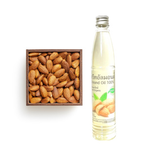 น้ำมันอัลมอนด์ น้ำมันอันมอนด์ น้ำมันอัลม่อน อัลมอนออย อัลมอนออแกนิกส์ 20-120ml. Almond Oil Organic เพรียว100%