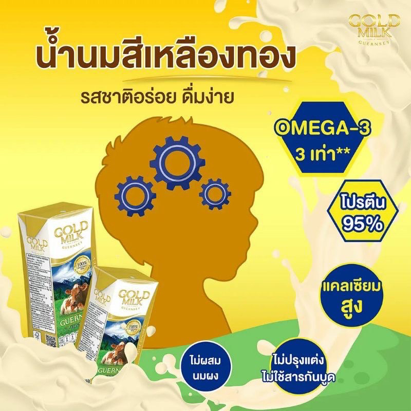 ยกลัง-gold-milk-นมโคแท้-premium-จากวัวสายพันธ์-guernsey