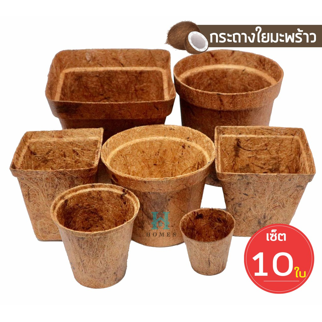 พร้อมส่ง-แพ็ค-10-ชิ้น-กระถางต้นไม้ใยมะพร้าว-กระถางใยมะพร้าว-กระถาง-gallon-pot-coco-pot