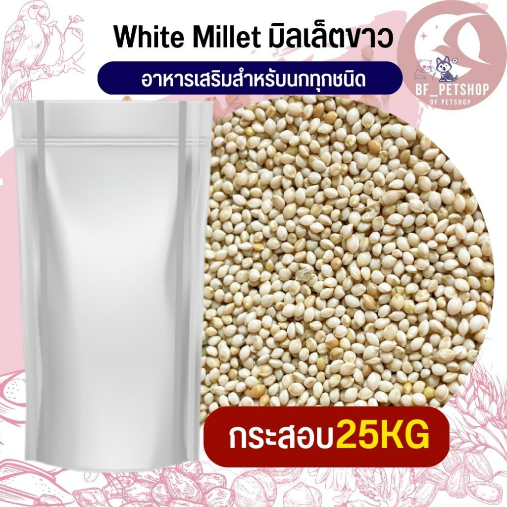 มิลเล็ตขาว-millet-a-มิลเล็ตa-สำหรับนก-หนู-ยกกระสอบ-25kg