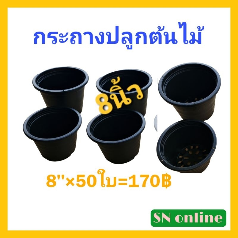 กระถางปลูกต้นไม้8นิ้ว-50ใบหนา-แข็งแรง-เกรดa