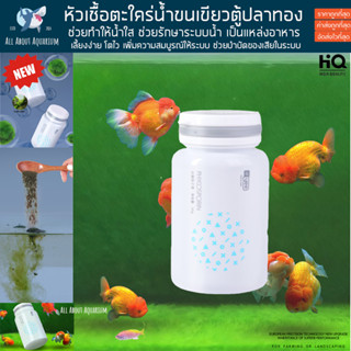 หัวเชื้อตะใคร่พรมขนเขียว สำหรับตู้ปลาทอง Goldfish Green algae Carpet ตะใคร่ ปลาทอง ตู้ปลา ปลา ปลาน้ำจืด ปลาสวยงาม รันชู