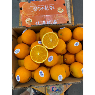 ภาพหน้าปกสินค้าส้มซันคริส ส้มเวเลนเซีย ลูกใหญ่ 5 ลูก (น้ำหนักประมาณ  1 กิโลกรัม) ที่เกี่ยวข้อง