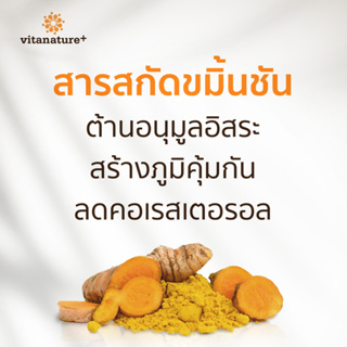 ภาพขนาดย่อของภาพหน้าปกสินค้าvitanature+ Curcumin Extract with Ginger Extract 8 กระปุก ไวตาเนเจอร์พลัส สารสกัดขมิ้นชันและขิง จบปัญหาเรื่องกระเพาะ จากร้าน vitanature บน Shopee ภาพที่ 8