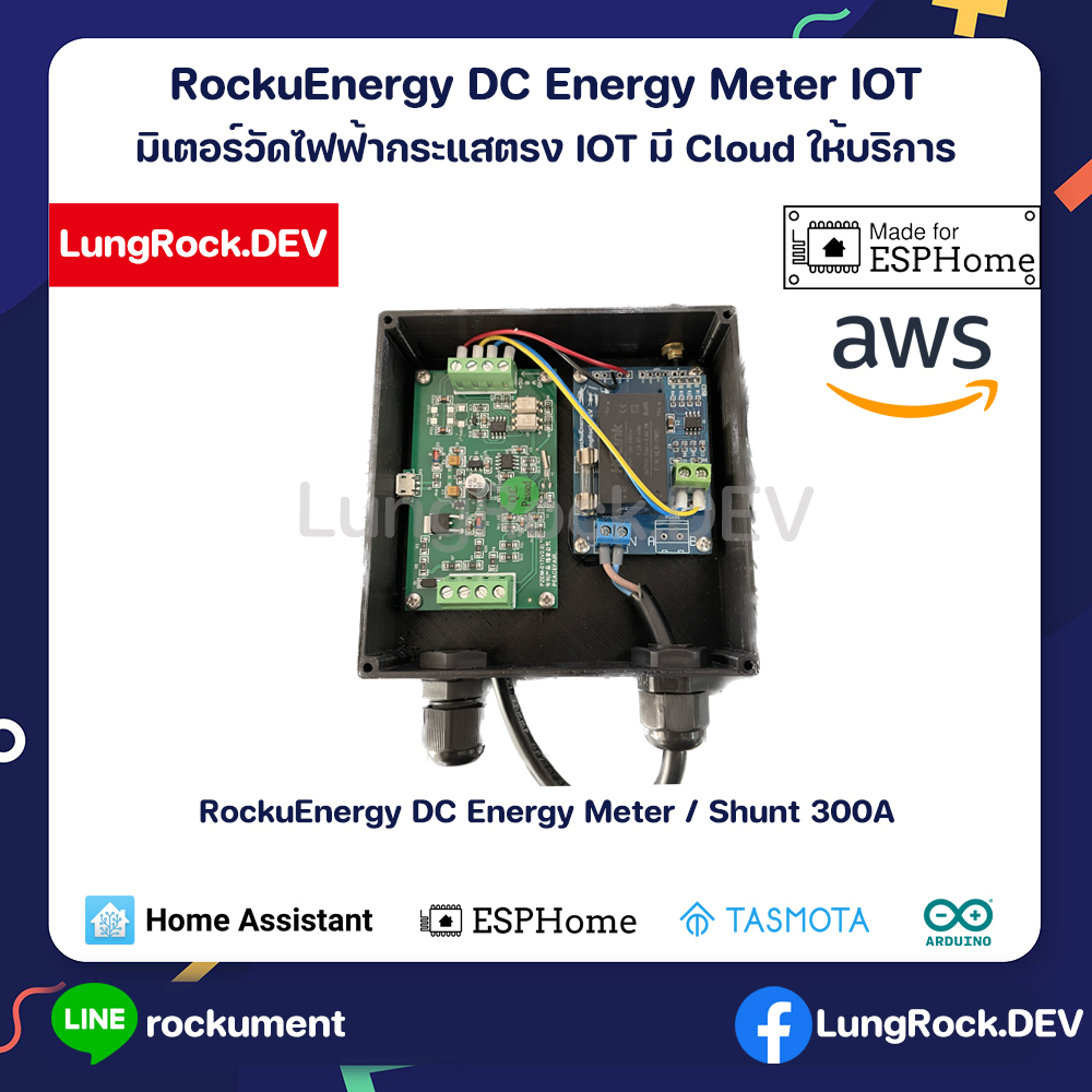ชุดวัดการใช้ไฟฟ้ากระแสตรง Smart DC Energy Meter IOT Shunt 300A พร้อม