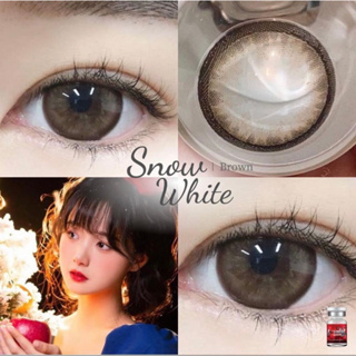 เลนส์ตาหวาน ✨ ขนาดตาโต Bigeyes  Snow white brown/ gray ของแท้ มีอย ไทย ผลิตที่เกาหลี