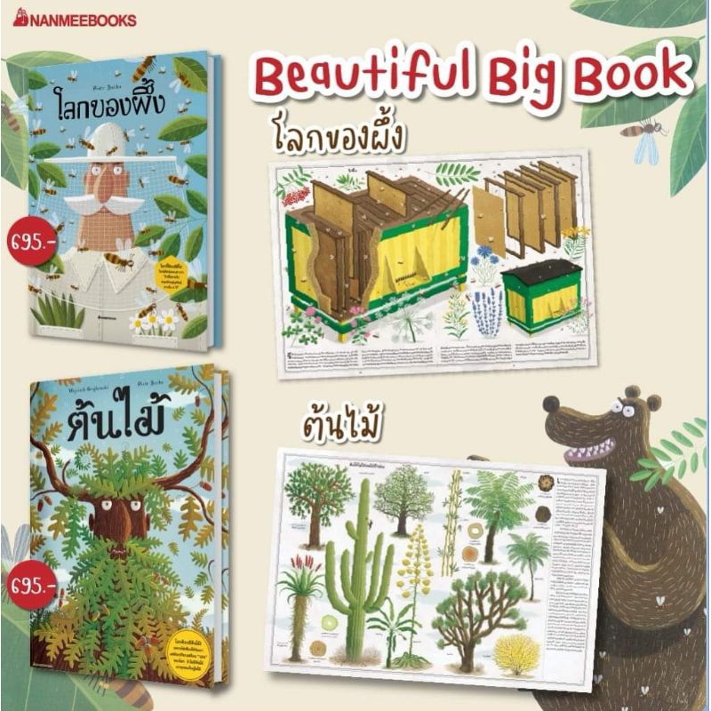 หนังสือเล่มใหญ่ของสัตว์ตัวยักษ์-หนังสือเล่มเล็กของสัตว์ตัวจิ๋ว-หนังสือเล่มใหญ่ของไดโนเสาร์ตัวยักษ์-โลกของผึ้ง-ต้นไม้