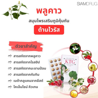 ภาพขนาดย่อของภาพหน้าปกสินค้าผลิตภัณฑ์เสริมอาหาร KTG 30 เม็ด 2 กล่อง จากร้าน siamdrug_official บน Shopee ภาพที่ 1