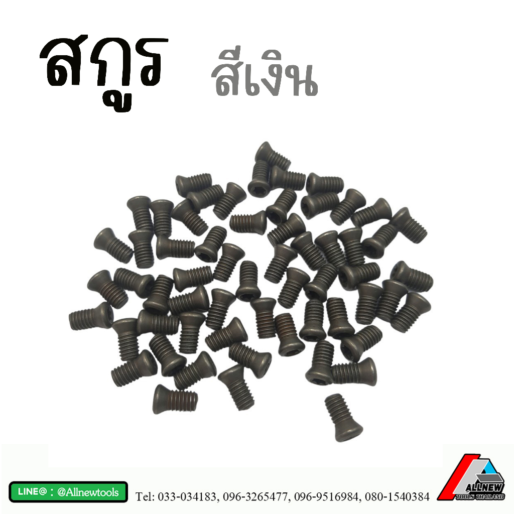 น็อต-สกูรดาว-สกูรยึดมีดกลึง-screw-torx-cutting-tools-สกูรล็อคเม็ดมีด-สีเงิน-สกูรหัวดาว