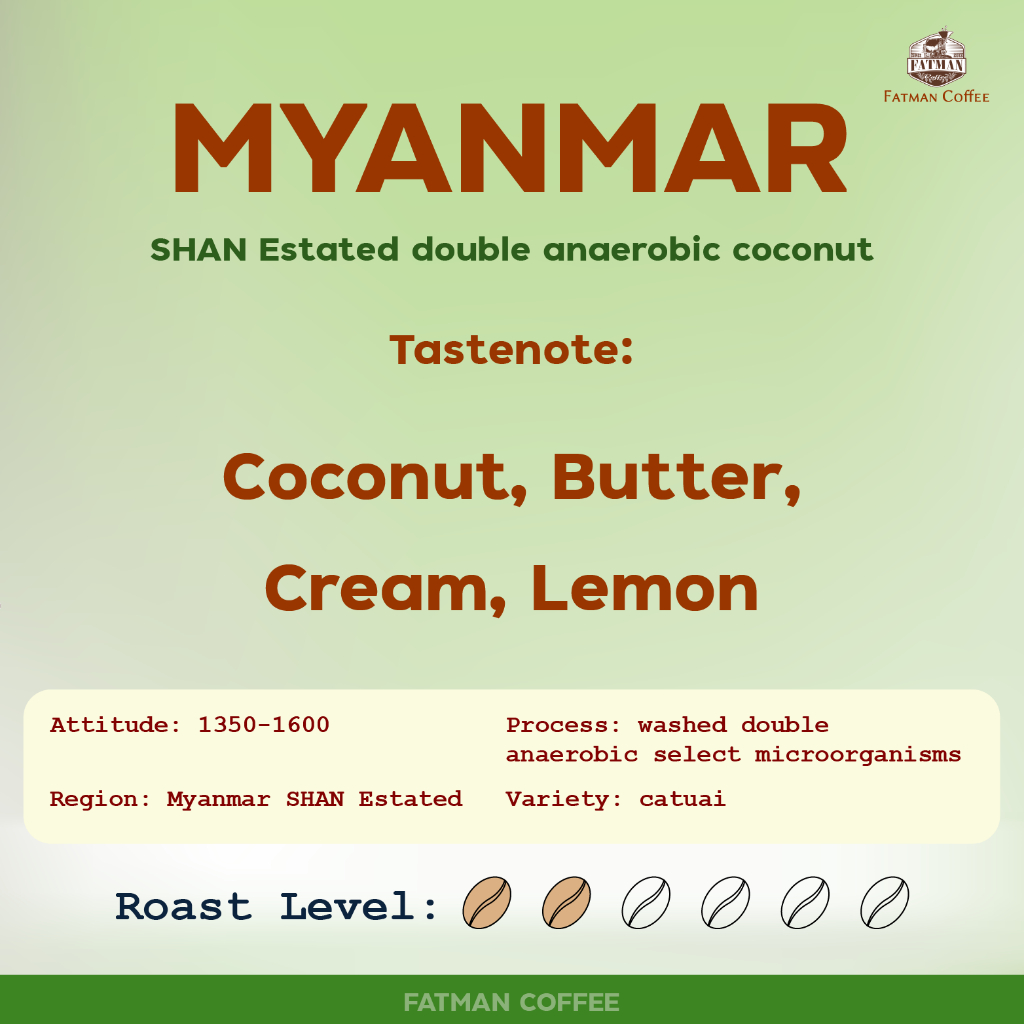 ราคาส่ง-1-3-kg-เมล็ดกาแฟ-myanmar-coconut