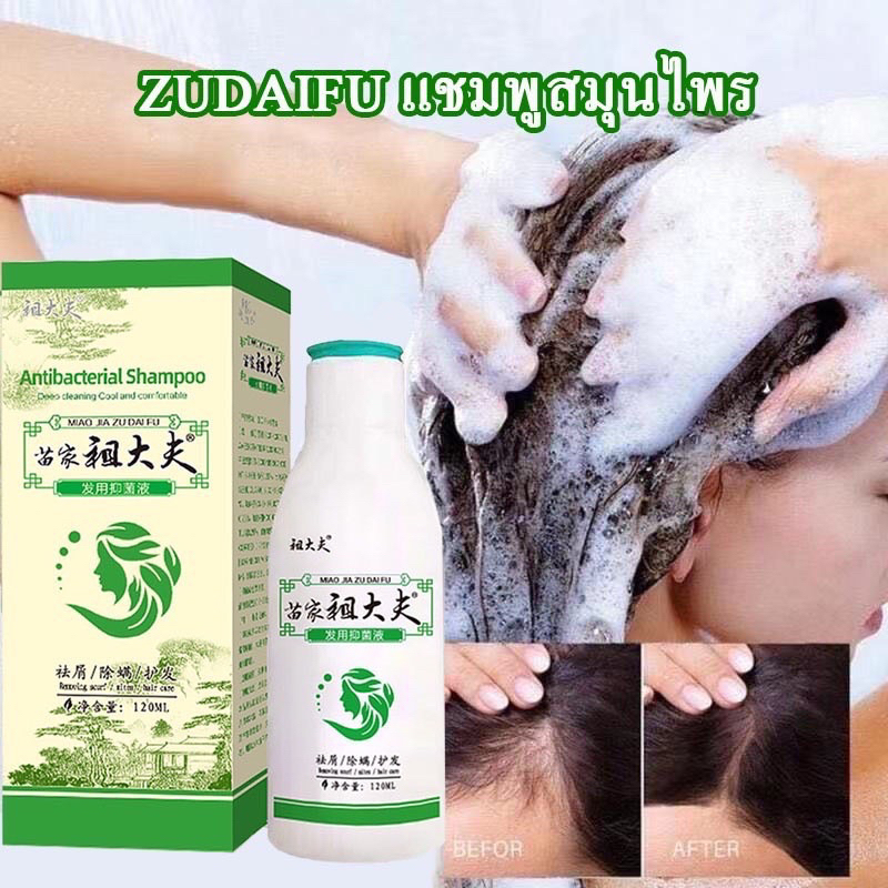 พร้อมส่ง-ของแท้-แชมพู-สมุนไพรจีน-zudaifu-แชมพูแก้คันหนังศรีษะ-ลดผมร่วง-เชื้อราบนหนังศรีษะ-ขจัดรังแค-กลาดเกลื่อน