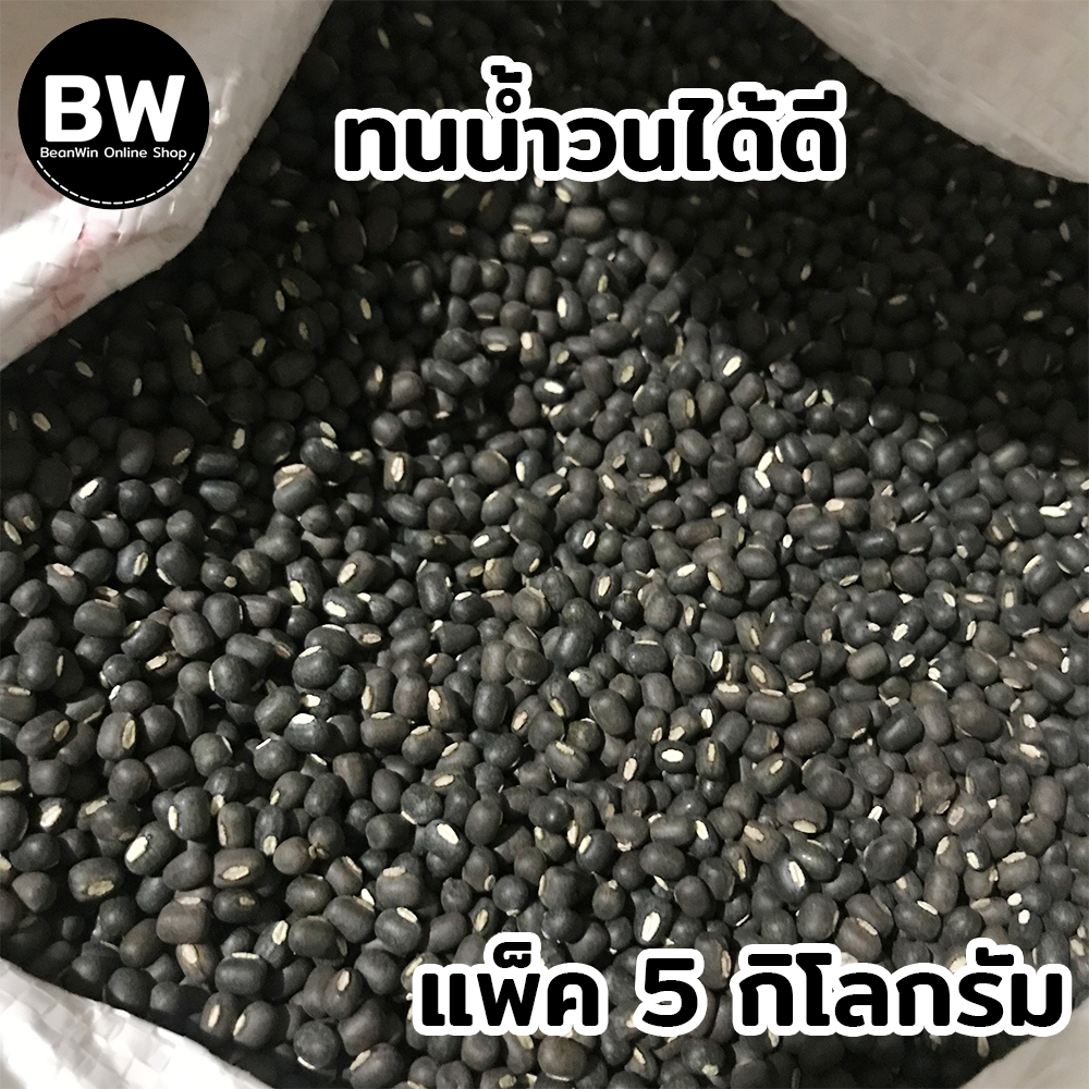 beanwin-ถั่วแขกพม่าผิวดำ-สำหรับเพาะถั่วงอก-แพ็ค-5-กก-อัตรางอกดี-ถั่วงอก-ถั่วเขียว-ถั่วแขก