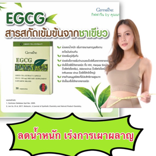 สินค้า ชาเขียวลดน้ำหนัก สารสกัดจากชาเขียว กิฟฟารีน ลดน้ำหนัก เร่งเผาผลาญไขมัน  EGCGกิฟฟารีน