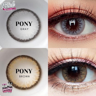 คอนเทคเลนส์ รุ่น Pony สีเทาGray/สีน้ำตาลBrown (Wink) รุ่นฮิต&gt;&gt;แบบแฟชั่นและสายตาสั้น