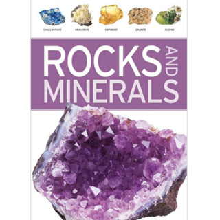 Rocks and Minerals - DK Nature Guide Ra Bonewitz Paperback