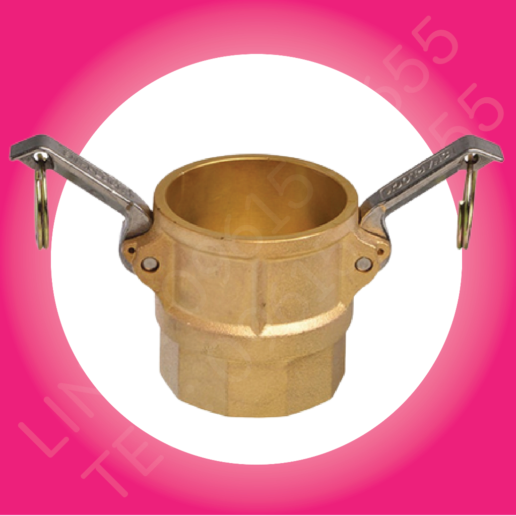 ข้อต่อสวมเร็ว พาสD ข้อต่อทองเหลือง BRASS Size 1/2