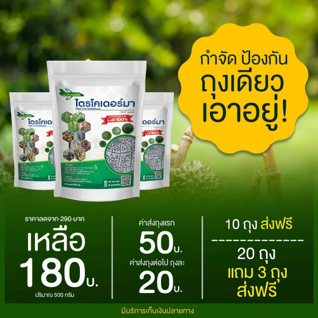 ป้องกันเชื้อรา-1-ซอง-500-กรัม-ไตรโคเดอร์มา-กับตันไตรโคร-รักษาโรคพืช-กำจัดเชื้อรา-ปลอดภัย