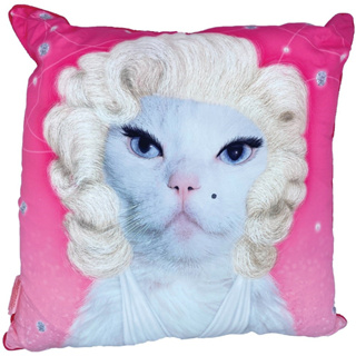 Akemi Pets Rock cat pillow หมอน หมอนหนุน หมอนอิง แมว หมอนนุ่ม