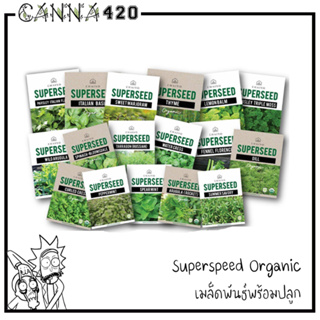 รวมสมุนไพร เมล็ด Rosemary Thyme Peppermint ออริกาโน่ Spearmint Lemonbalm Catnip Lavender Chamomile ชาแมว แคทนิป