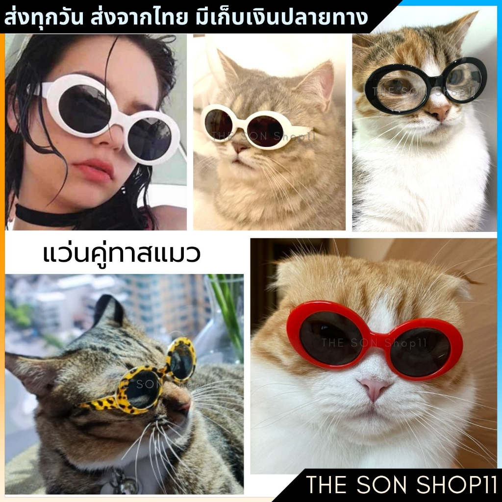 ภาพหน้าปกสินค้าแว่นแมว แว่นสุนัขพันธ์เล็ก แว่นตาหมา แว่นตาแมว แว่นแมวพร้อมส่งจากไทย เก็บเงินปลายทางได้