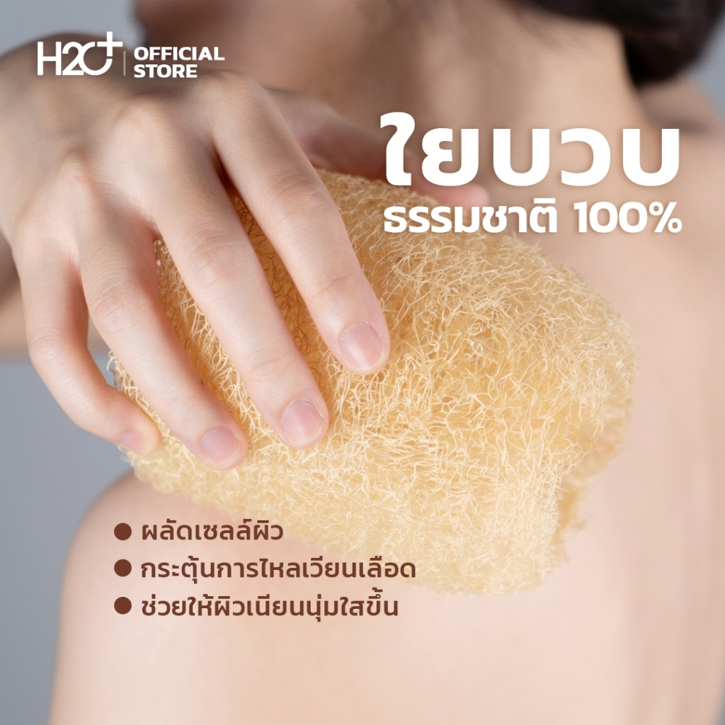 h2o-plus-ใยบวบขัดตัว-ใยบวบขัดผิว-ขัดหลัง-แบบท่อน-ขนาด-10-12-cm-ผลิตจากธรรมชาติ-100-ไม่ฟอกสาร