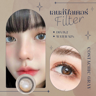 mini Costachic gray | คอนแทคเลนส์รายเดือน