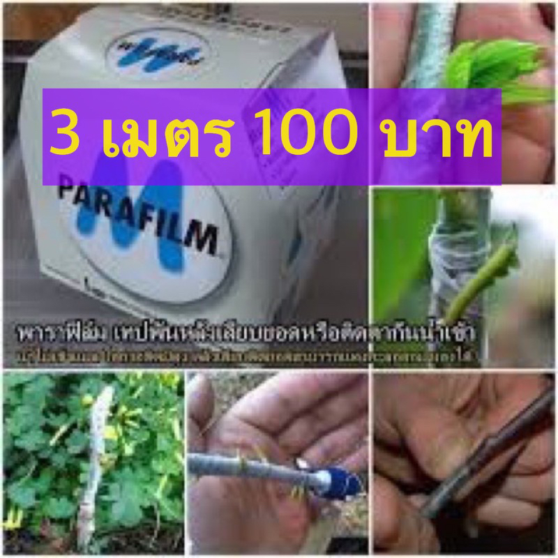 ซื้อ-3-เมตร-100-บาท-พาราฟิล์มเทป-อย่างดีแบ่งขาย