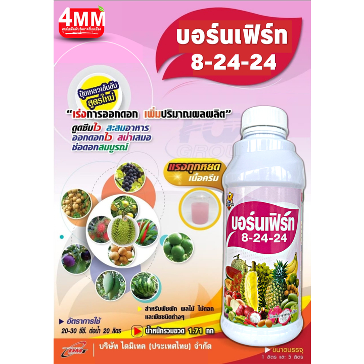 บอร์นเฟิร์ท-8-24-24-1-ลิตร