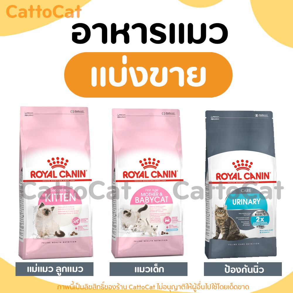 แบ่งขาย-royal-canin-อาหารแมว-ครบทกสูตร-มีสินค้าพร้อมส่งค่ะ