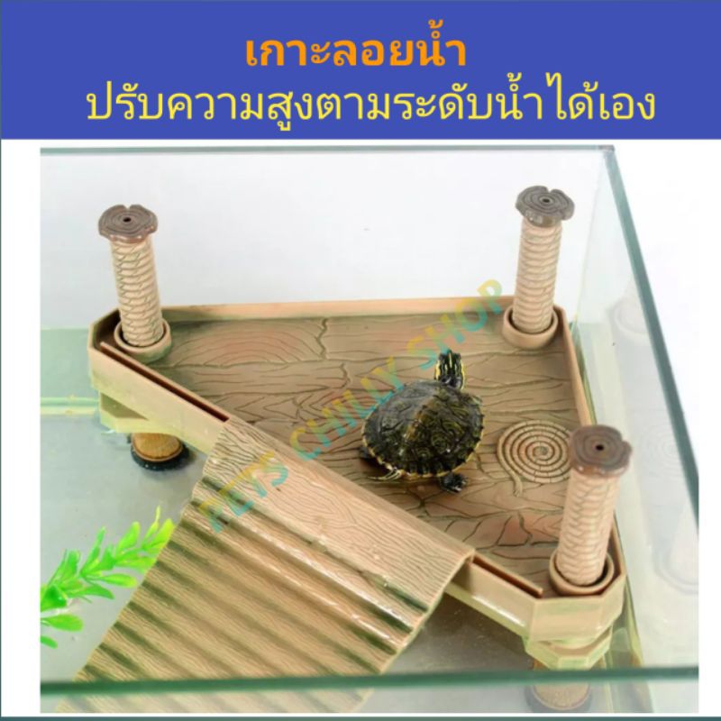 เกาะลอยน้ำสำหรับสัตว์ครึ่งบก-น้ำ-turtle-pier