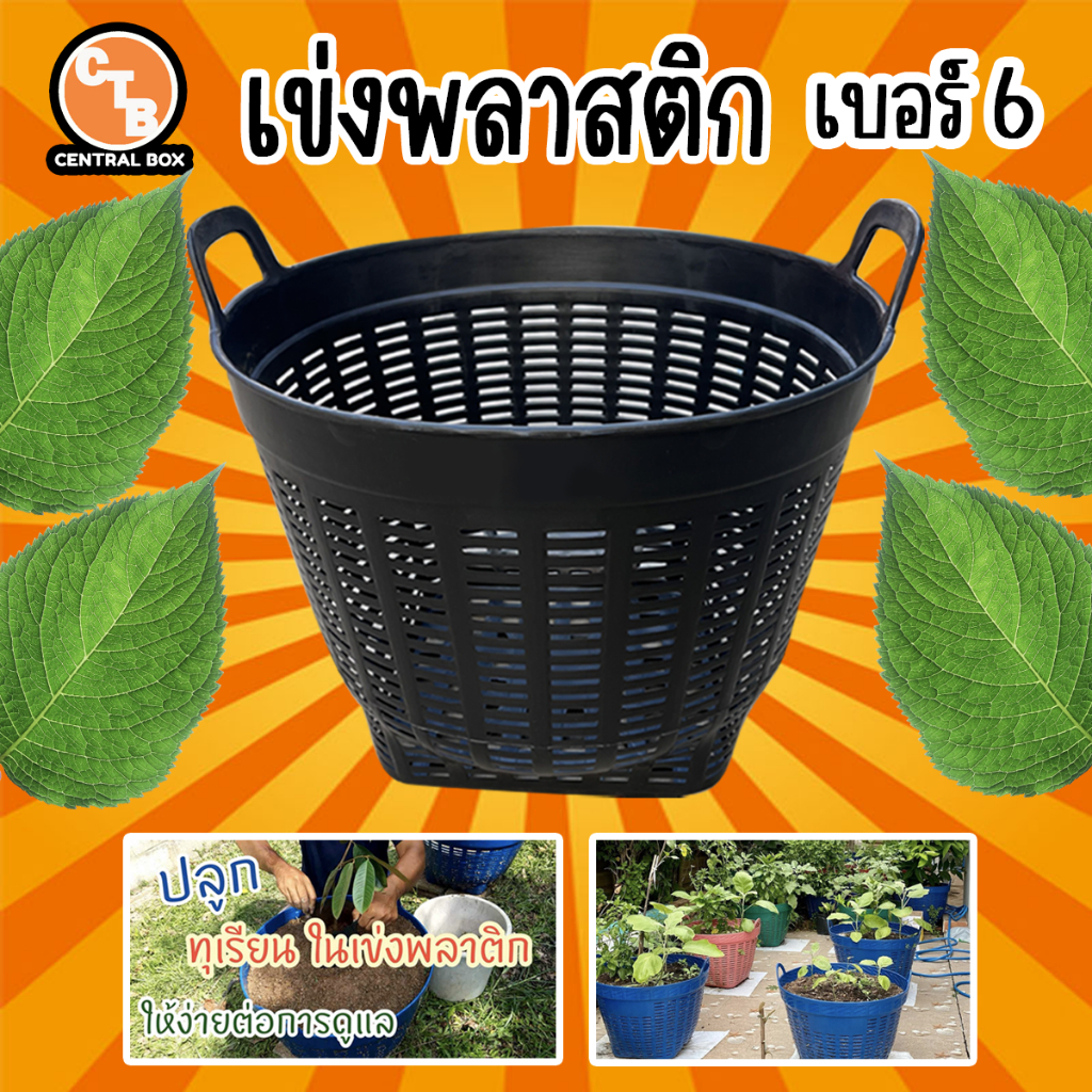 เข่งพลาสติก-เบอร์-6-เข่งใส่ของ-เข่งปลาทู-เข่งผัก