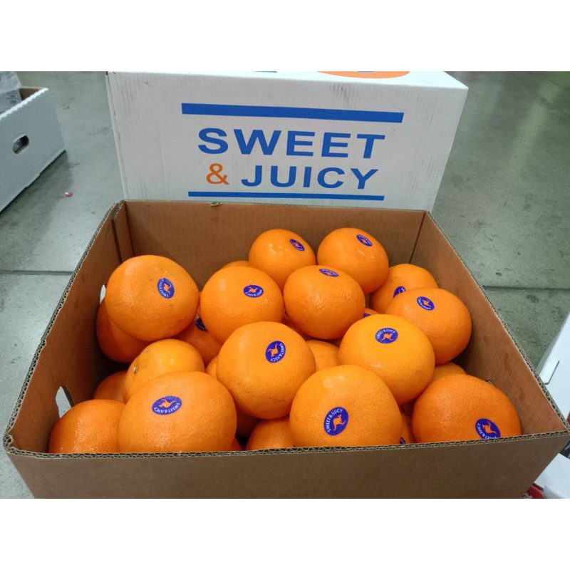 ภาพหน้าปกสินค้าส้มแมนดาริน 2PH ส้มฮันนี่มาคอท นำเข้าจากอเมริกา (USA) หวานอมเปรี้ยว จากร้าน pairthongkeawkarn บน Shopee