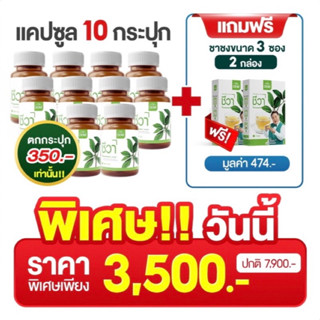 ผลิตภัณฑ์อาหารเสริม Chewa ชีวา แคปซูล10กระปุก+แถมชา3ซอง/2กล่อง สมุนไพรเบาหวาน แคปซูลเชียงดา เบาหวาน ผักลดเบาหวาน  ไขมัน