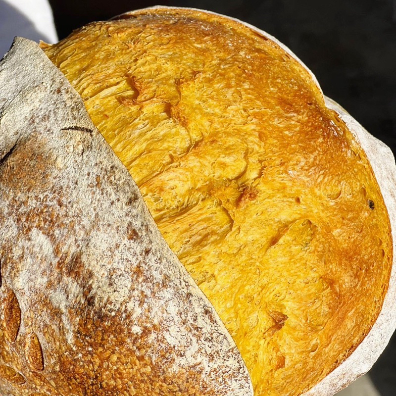 pumpkin-sourdough-bread-ขนมปังเปลือกแข็งยีสต์ธรรมชาติรสฟักทอง-มี่ราคาขายส่งสำหรับร้านค้า