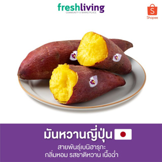 ภาพหน้าปกสินค้ามันหวานญี่ปุ่น เบนิฮารุกะ ครบไซส์ 500g. / 1kg. / 2kg. /3kg. กลิ่นหอม รสชาติหวาน เนื้อฉ่ำ ShiTori ซึ่งคุณอาจชอบสินค้านี้